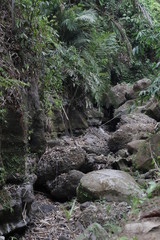 dry river with big stone