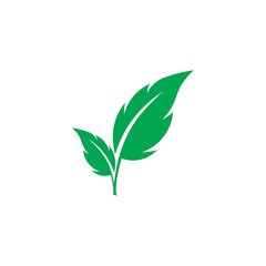 Obraz premium green leaf ecology nature element vector