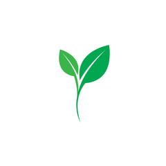 Obraz premium green leaf ecology nature element vector