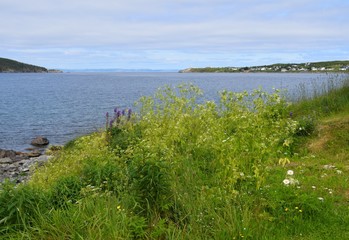 Fototapeta na wymiar Baccalieu Trail landscape; view from a green meadow across the bay towards the lighthouse, Heart's Content Newfoundland Canada