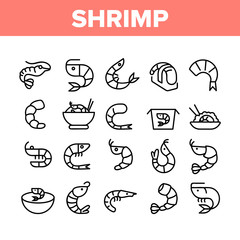 Shrimp Food Collection Elements Icons Set Vector Thin Line. Shrimp Fresh And Cooked, Sushi And Soup, Appetizer And Delicacy Concept Linear Pictograms. Monochrome Contour Illustrations