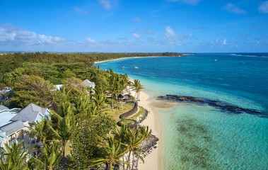 palm trees on the beach of mauritius island