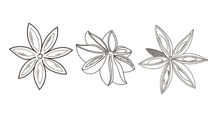 Vector cardamom set. Spices,flavoring set,vector set,hand-drawn spices and ingredients,seasonings for food,flavoring set,flavoring for food,flavor with spice.      Christmas seasoning.Mulled wine seas