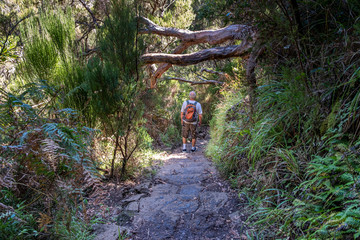Levada Do Risco, PR6, from Rabacal Madeira, Portugal, Europe