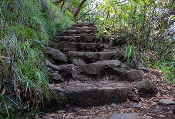 Levada Do Risco, PR6, from Rabacal Madeira, Portugal, Europe