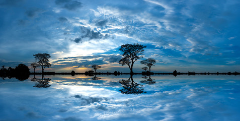 Panorama silhouette tree in africa with sunset.Tree silhouetted against a setting sun reflection on water.Typical african cool light sunset with acacia trees in Masai Mara, Kenya. © noon@photo