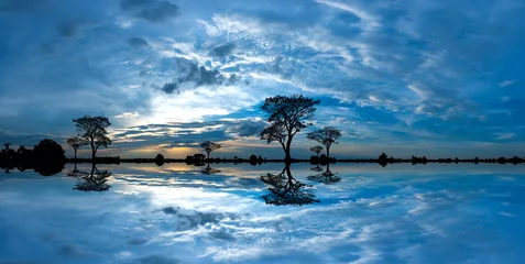 Fotobehang Afrika Panorama silhouette tree in africa with sunset.Tree silhouetted against a setting sun reflection on water.Typical african cool light sunset with acacia trees in Masai Mara, Kenya.  © noon@photo