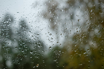 Raindrops on window glass with trees in the background
