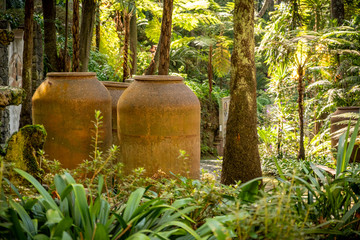 Fototapeta premium Terracotta clay pots in Monti palace gardens, Funchal, Madeira, Portugal, Europe