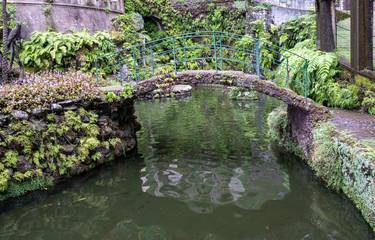 Bridge,Water feature in Monti palace gardens, Funchal, Madeira, Portugal, Europe