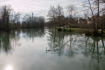 Pont Rivière Jura Franche-Comté France Cygnes