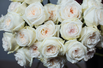 Close-up of white roses. A girl holding a rose. Flowers