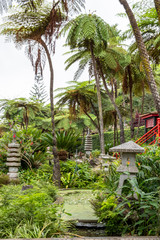 Fototapeta na wymiar Japanese gardens in Monti palace gardens, Funchal, Madeira, Portugal, Europe