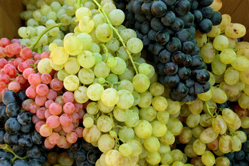 Bunch of fresh white table grapes with the black and red