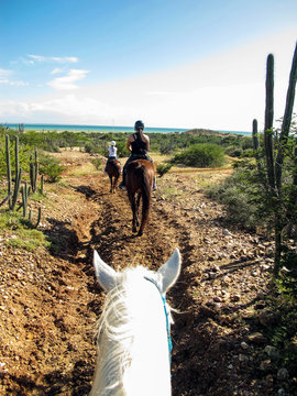 Horseback riding in Macanao, Isla de Margarita, Venezuela