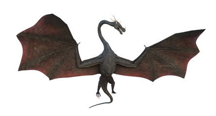 dragon, magical creature isolated on white background 