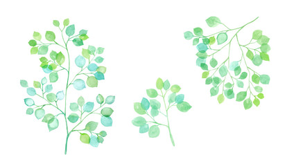 見上げた新緑 太陽光に透過し輝く枝葉の水彩イラスト フレーム背景 Wall Mural Keiko Takamatsu