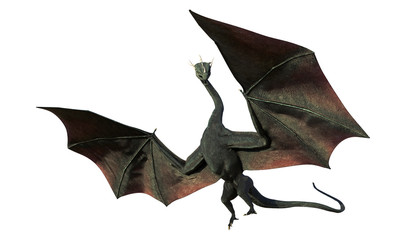 dragon, magical creature isolated on white background 