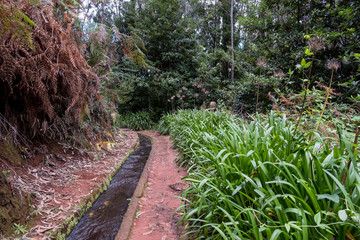 Levada Do Rei PR18, from Sao Jorge ending at the source in Ribeiro Bonito, Madeira, Portugal