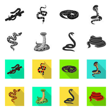 Isolated object of snake and creepy logo. Collection of snake and wildlife vector icon for stock.
