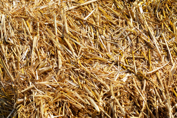 A stack of dry hay