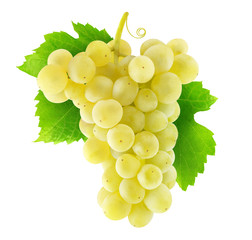 Isolated grapes. Hanging bunch of white grapes isolated on white background with clipping path