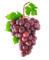 Isolated grapes. Bunch of red grapes on a branch isolated on white background with clipping path © ChaoticDesignStudio