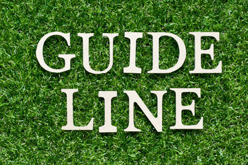 Wood alphabet letter in word guideline on artificial green grass background