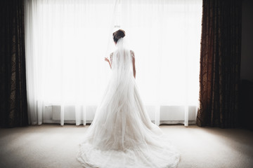 Gorgeous bride in robe posing and preparing for the wedding ceremony face in a room