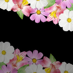 Beautiful floral background of alstroemeria and kosmeya. Isolated