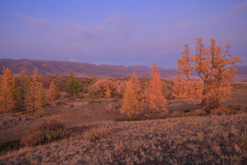 Fototapeta premium autumn in the mountains