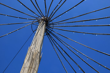 Fototapete bei efototapeten.de bestellen   