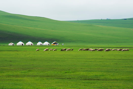 Autumn grassland scenery of hulunbuir, Inner Mongolia, China