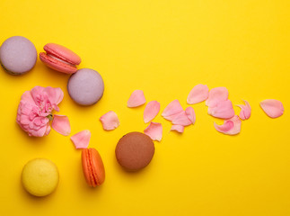 multi-colored macarons with cream and a pink rose bud with scattered petals