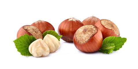 Group of  hazelnuts with leaf on a white background