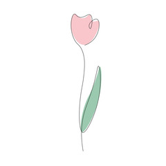 Spring flowers isolated on white background. Continuous line drawing. Vector illustration