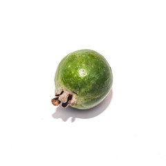 green feijoa fruit on white background