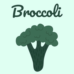 Broccoli Banner. Healthy vegetable.Hand drawn icon.Light background