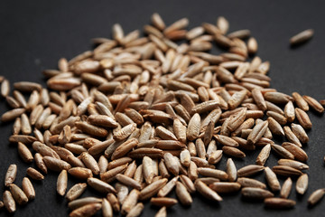 whole grain rye seeds on black  background, organic healthy food