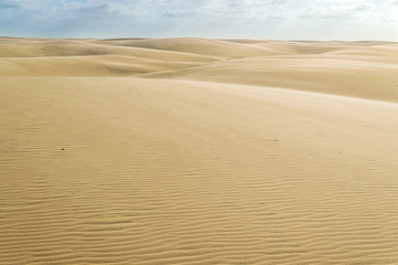 Road of dunes in brazilian desert
