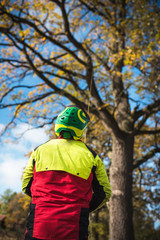 Arborist man preparing for climbing on a tree. The worker with helmet working at height on the trees. Lumberjack working with chainsaw during a nice sunny day. Tree and nature 