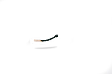 burnt match on a white background side view