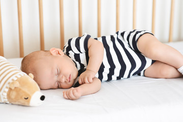 Portrait of sweet newborn baby sleeping with his soft toy