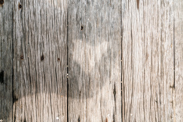 Fototapeta premium Brown wooden bark texture empty decoration background