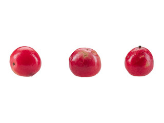 Three red, isolated, peppercorns with copy space for text or images. Spices and herbs. Packaging concept. Close-up, side view.