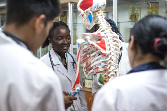 medical students study the structure of man, on the skeleton. A group of young people of different sex, mixed race, in medical clothes, in the classroom