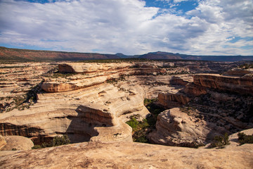 Horsecollar Ruins Trail in Natural Bridges National Monuments provides an excellent view of the...