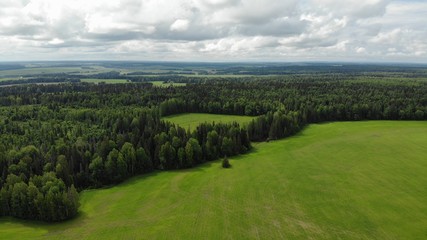 Beautiful summer landscape on a sunny day	