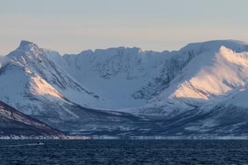 Arctic Fjord Landscape