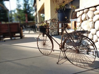 Fototapeta na wymiar Vintage bicycle planter